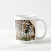 tigres de zoo d'animal sauvage de tigre mug