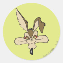 Tir principal d'E. Coyote Pleased de Wile Autocollant Rond