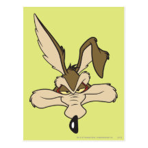 Tir principal d'E. Coyote Pleased de Wile Carte Postale
