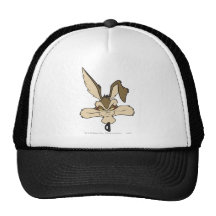 Tir principal d'E. Coyote Pleased de Wile Casquettes