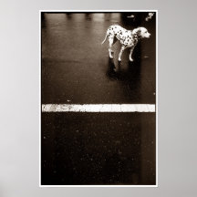Tiret de point posters