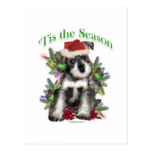 ` Tis de Schnauzer miniature Cartes Postales