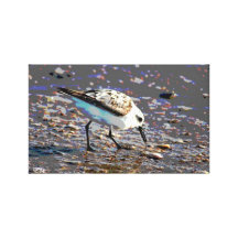 Toile enveloppée abstraite d'oiseau de rivage toiles tendues