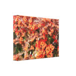 Toile enveloppée florale de petit automne toiles tendues