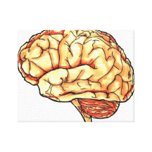 Toile enveloppée par dessin de cerveau impression sur toile