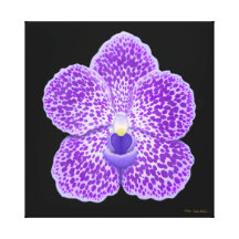Toile enveloppée par fleur bleue d'orchidée de Van Impression Sur Toile
