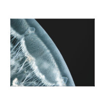 Toile enveloppée par hausse de lune toiles tendues sur châssis