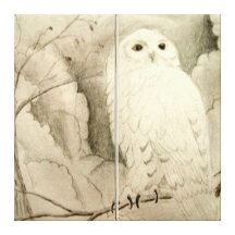 Toile enveloppée par hibou blanc toiles tendues sur châssis