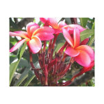 Toile enveloppée par Plumeria rose brillant Impressions Sur Toile