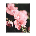 toile rose de fleur impression sur toile