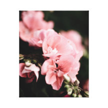 toile rose de fleur impression sur toile