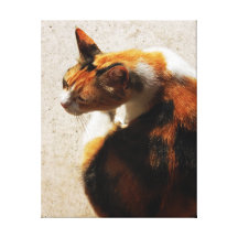 Toile tricolore de chat impressions sur toile