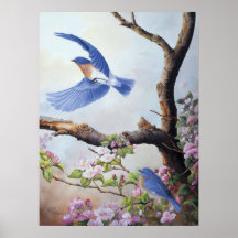 Toile UV Printes de "oiseaux bleus" Posters