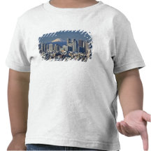 Tokyo, horizon de secteur de Shinjuku, le mont Fuj T-shirts
