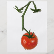 Tomate de vigne tract