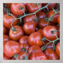 Tomates cerise poster