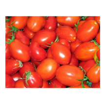 Tomates de prune cartes postales