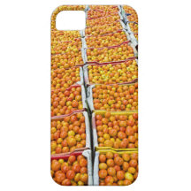 Tomates ou lycopersicum organiques de solanum dans étui iPhone 5