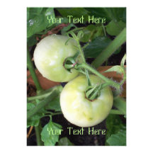 Tomates vertes faire-part personnalisé