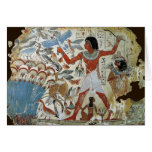 Tombe de Nebamun : Chasse aux oiseaux Carte
