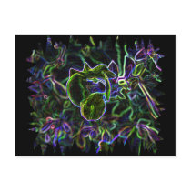 Torenia a édité cartes postales