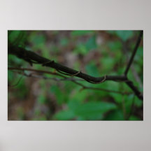 torsion posters