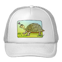Tortue attentive casquette