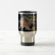 Tortue de léopard mug