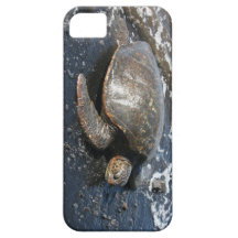Tortue de mer hawaïenne sur la plage noire de sabl coques iPhone 5