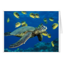 Tortue de mer verte carte de vœux
