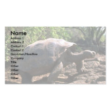 Tortue géante de Galapagos (type en forme de dôme) Cartes De Visite Professionnelles