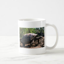 Tortue géante de Galapagos (type en forme de dôme) Mugs À Café