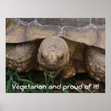 Tortue mangeant la photographie végétarienne fière poster