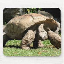 Tortue Mousepad Tapis De Souris