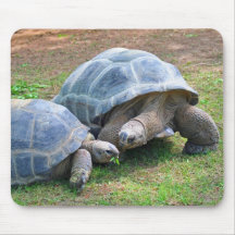 Tortues Mousepad d'Aldabra Tapis De Souris