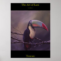 Toucan Poster