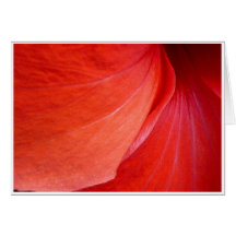 Toujours rouge cartes de vœux