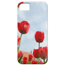 Tour Berlin Allemagne de télévision de Fersehturm Coques iPhone 5 Case-Mate
