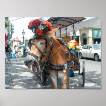 Tour de mule poster