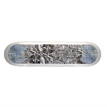 Tour frais skateboards