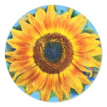 Autocollants tournesol