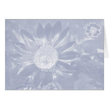 Tournesol bleu de denim cartes