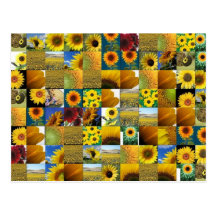 tournesol carte postale