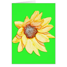 tournesol cartes