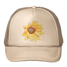 tournesol casquettes