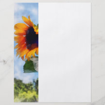 Tournesol contre le ciel prospectus
