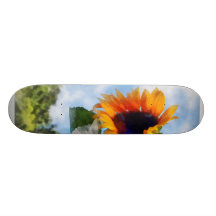 Tournesol contre le ciel skateboards