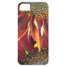 Tournesol Coques Case-Mate iPhone 5