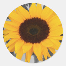 Tournesol d'espoir adhésif rond