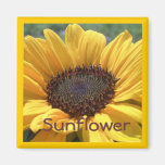 Tournesol d'or aimants